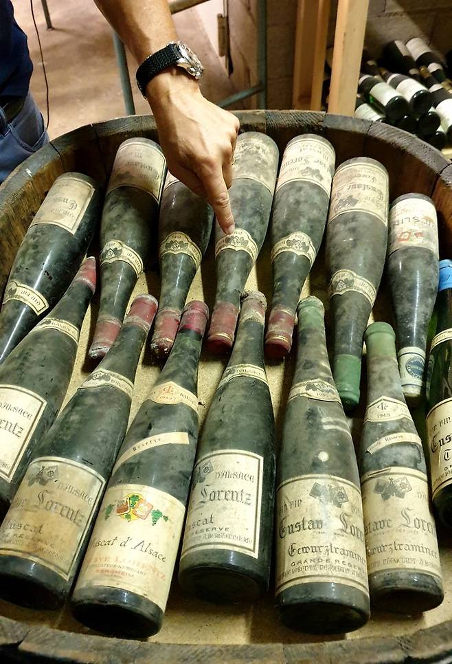 구스타브 로렌츠 올드 빈티지. 최현태 기자