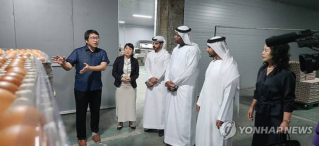 홍삼란 양계 시스템 둘러보는 UAE 라스 알카이마 특사단 (서울=연합뉴스) 아랍에미리트(UAE) 토후국 라스 알 카이마의 경제 특사단이 4일 충남 보령시 청라면 K푸드 기업 다원스마트팜에서 홍삼란 양계 시스템을 둘러보고 있다. 2024.9.4 [세계스타트업포럼 제공. 재판매 및 DB 금지] photo@yna.co.kr