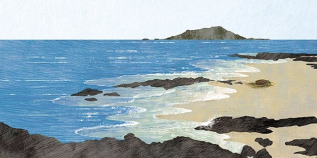 지친 바다거북이 제주도 해안에 도착했다. 도토리숲 제공