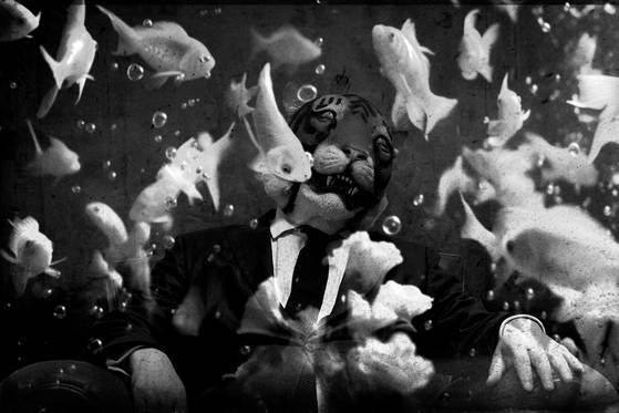 김용호의 ‘데 베르미스 서울리스’ 스틸무비 가운데.