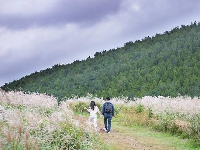 사진 = 제주관광공사