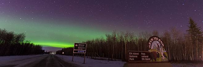 어두워진 후에 엘크 아일랜드 국립공원(Elk Island National Park)을 방문하여 도시의 불빛에서 멀리 떨어진 별이 총총한 하늘의 아름다움을 감상할 수 있다. 담요 위에 누워 은하수와 오로라의 광경을 감상하거나 아이들과 함께 별을 세어보는 추억을 즐길 수 있다. 하지만 요즘 관광객의 급증으로 폐쇄되고 있는 관측 지점이 늘어나고 있다. 2024.09.07/<출처: 캐나다 정부 홈페이지>