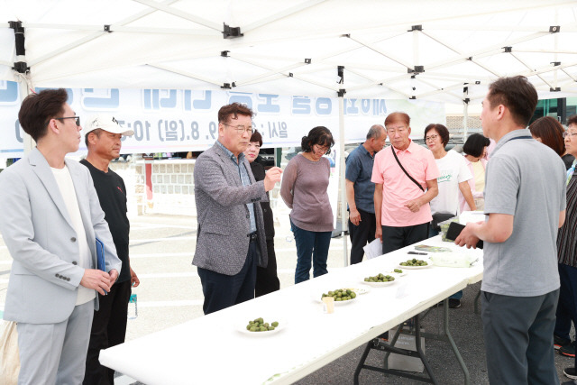 ▲ 최명서 군수가 장릉을 찾은 관광객들에게 영월 토종다래의 우수성을 홍보하고 있다.