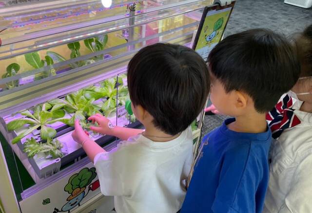 초등학생들이 AI 콘텐츠로 실내에서 식물과 교감하고, 대화도 가능한 환경교육 장면. 김동민기자