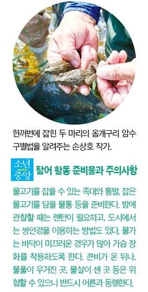 탐어 활동 팁.