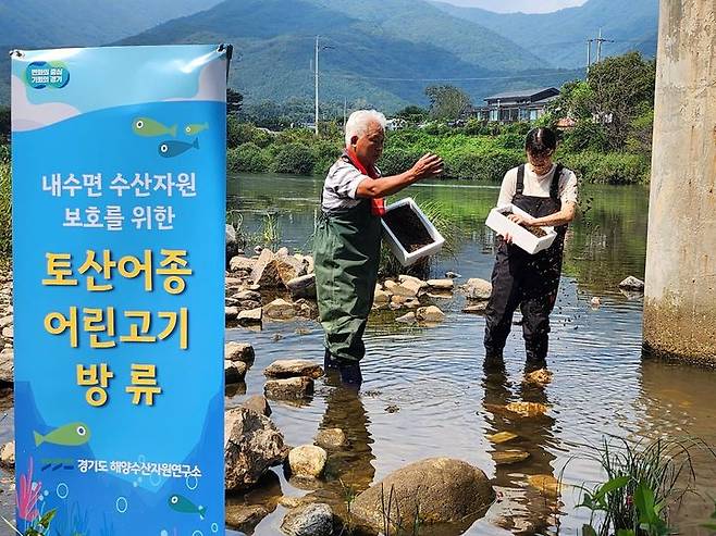 강·하천에 붕어·다슬기 59만 마리 방류(사진=경기도 제공) *재판매 및 DB 금지