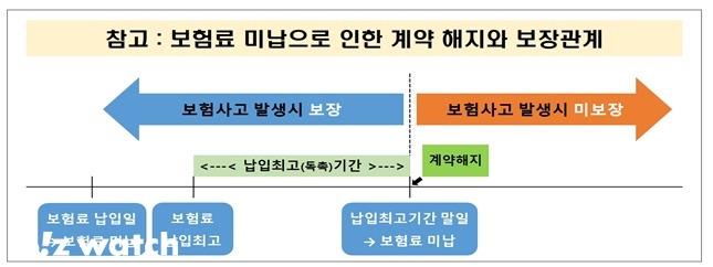 /그래픽=금융감독원