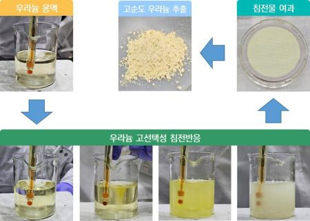 침전반응을 통해 우라늄 용액에서 고순도 우라늄을 추출하고 있다. 한국원자력연구원 제공