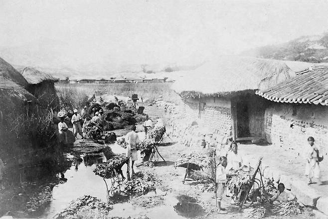 채소시장(1904년 촬영). 청계천은 삶의 터전이기도 했다. 동대문 밖에 큰 채소시장이 서 상인들이 청계천 오간수문에서 야채를 씻어 팔았다. [미국헌팅턴도서관(잭 런던 기증사진)]