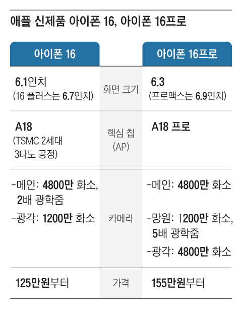그래픽=김하경