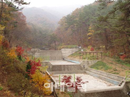 충남 부여 만수산 자연휴양림 내 실외수영장. (사진=충남 부여군 제공)