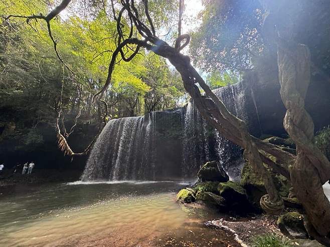 7de48105c6831b82239ef493429c7064e8330b314ba026b4edf7224c6bd9e8d5c1159e75cd2f688a2deaadd79c6d1b48a26a55fb73