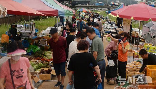 [전주=뉴시스] 김얼 기자 = 추석 연휴를 앞둔 12일 전북 전주시 전주남부시장 인근 도깨비시장을 찾은 시민들로 장내가 북적이고 있다. 도깨비시장은 일반 전통시장과 다르게 이른 새벽부터 5~6시간동안 장이 들어서는 모습을 보여 도깨비처럼 반짝 나타났다가 사라진다고 해서 붙은 이름이다. 2024.09.12. pmkeul@newsis.com
