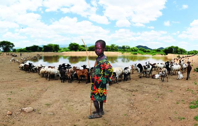 끝이 보이지 않는 가뭄은 야생동물뿐 아니라 인간에게도 재앙이다. 꼬마 목동이 지난 3일 케냐 북부 날라파투이 지역의 저수지에서 염소들에게 물을 먹이고 있다.