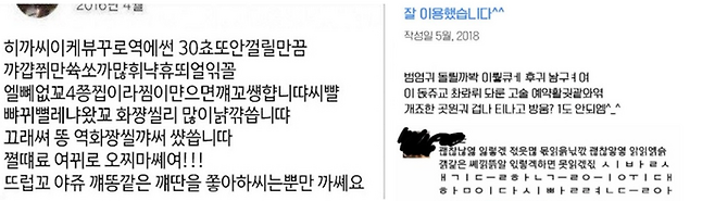 온라인상에서 화제가 됐던 한국인만 읽을 수 있는 후기. [사진 = 온라인 커뮤니티 갈무리]