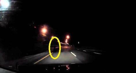 경남 양산시 동면 법기터널 인근에서 귀신을 목격했다는 주장이 제기돼 갑론을박이 일고 있다./사진=보배드림 캡처