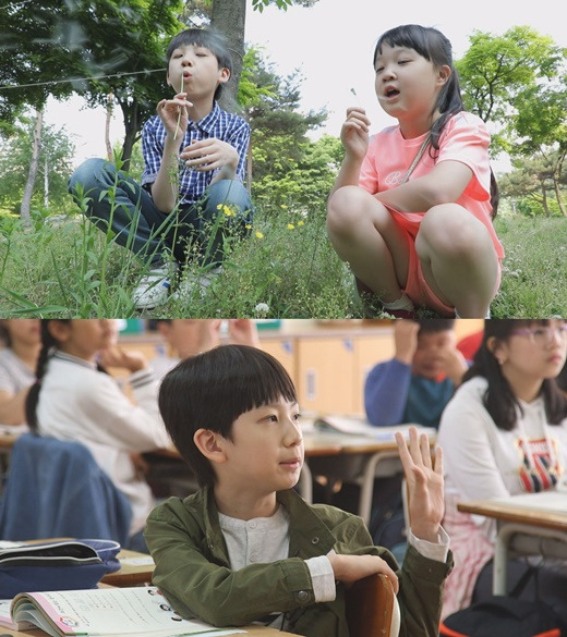 아역배우 김설과 친오빠 김겸./SBS '영재발굴단'