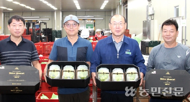 경북 상주 중화농협 노연구 조합장(오른쪽 두번째부터), 김종성 포도공선출하회장, 박세진 농산물산지유통센터 소장 등이 농산물산지유통센터에서 프리미엄 포도를 보여주고 있다.