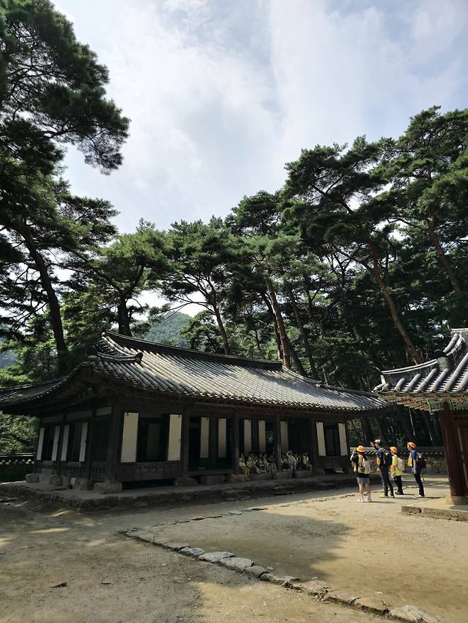 단종 어소.