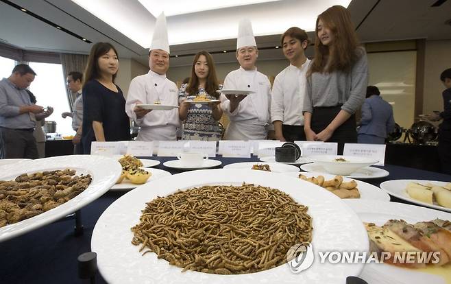 고소애 요리 [연합뉴스 자료 사진]