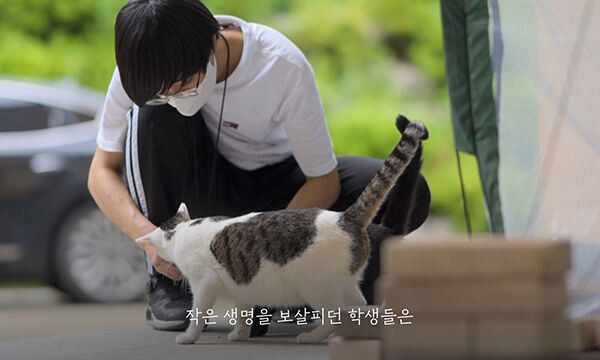 울산시교육청 공식 유튜브 채널에 공개된 울산과학고 학생동아리 '더불어사는세상' 학생과 길고양이의 모습. 울산시교육청 제공