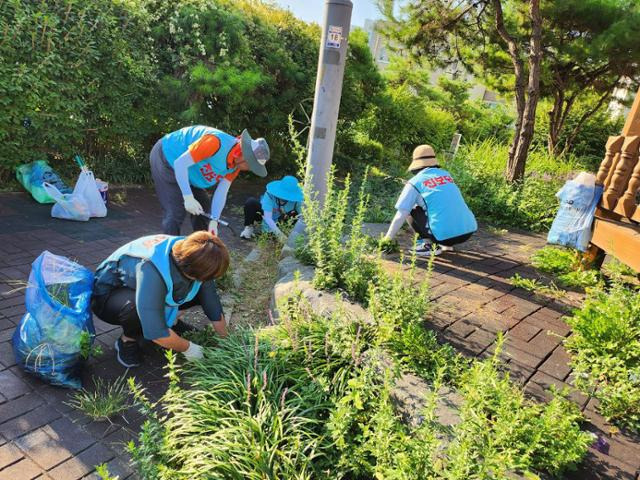 10·16 전남 영광·곡성군수 재보궐 선거를 앞두고 전남 영광군을 찾은 진보당 당원들이 길거리 잡초 제거 봉사활동을 하고 있다. 진보당 제공