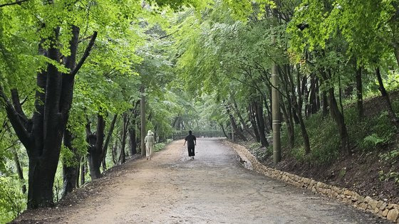 화순 너릿재 맨발걷기 길. 김영주 기자