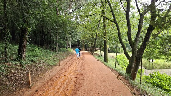 영광 물무산 황톳길. 김영주 기자