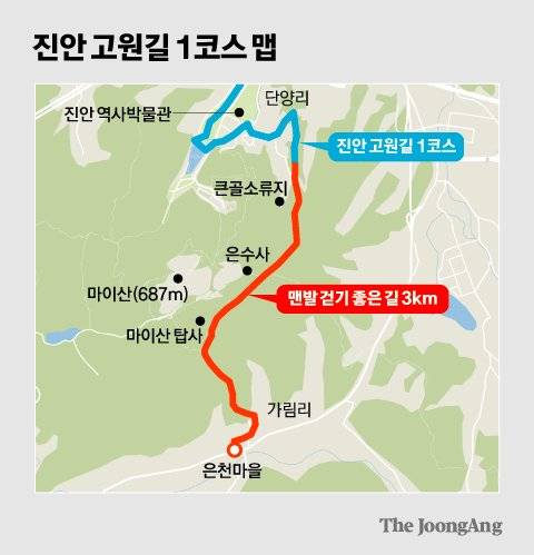 김영희 디자이너