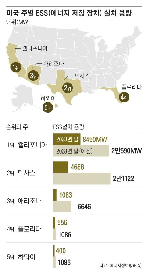 그래픽=조선디자인랩 이민경