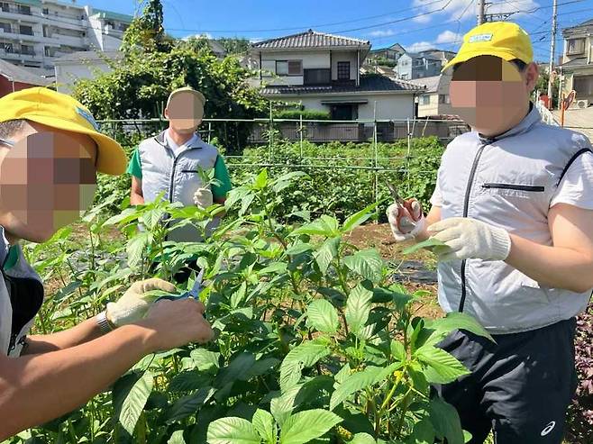 광주시, 은둔청년 일본 사회복귀 연수 참여 지원