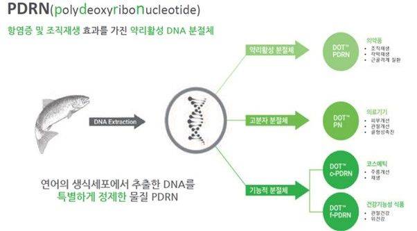 PDRN 성분 설명.(사진=파마리서치, BNK투자증권 제공) *재판매 및 DB 금지