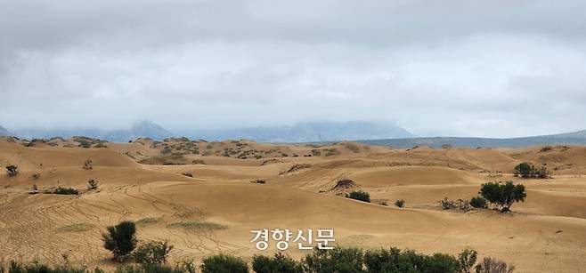 한국인 관광객들에게 ‘미니고비사막’으로 불리는 관광지 엘승타사르해의 사막화 지역. 과거에는 식물이 많이 자랐던 곳이지만 현재는 듬성듬성 남아있는 풀과 나무만을 볼 수 있다. 울란바토르 | 김기범 기자