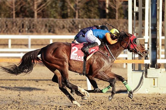 2023년그랑프리 결승선 통과하는 위너스맨과 서승운 기수. 사진 | 한국마사회