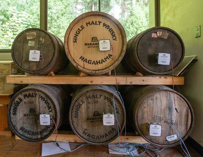 음악 교실에 놓인 오크통에 모차르트 음악이 흐르는 청진기가 붙어 있는 모습. /김지호 기자