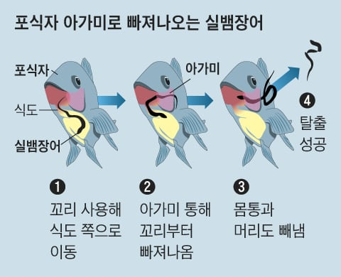 그래픽=양인성