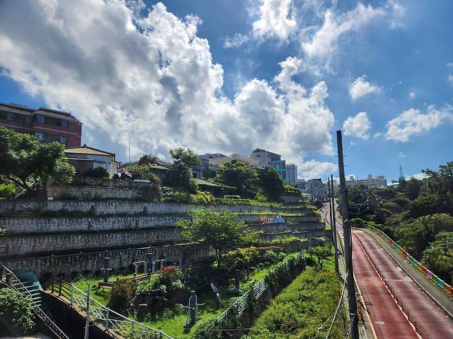 20240918_103637.jpg 이 더운날 제주 올레길을 걷다