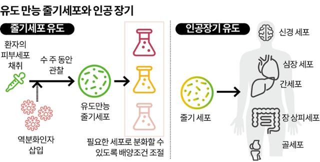 그래픽=송정근기자