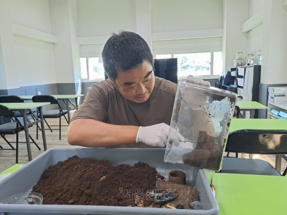 이용화 숲속의 작은 친구들 대표가 18일 울산 울주군 상북면 ‘숲속의 작은 친구들’ 사육실에서 애완학습 곤충인 사슴벌레의 알을 받아내고 있다.    울산 박정훈 기자