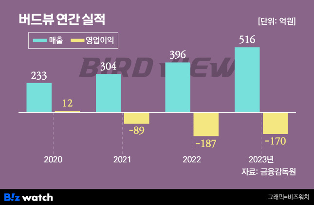 버드뷰 연간 실적 /그래픽=비즈워치