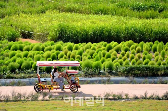 댑사리 정원.(사진=포천시 제공)