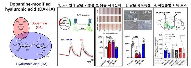 DA-HA의 특성을 나타낸 모식도. (안전성평가연구소 제공)/뉴스1