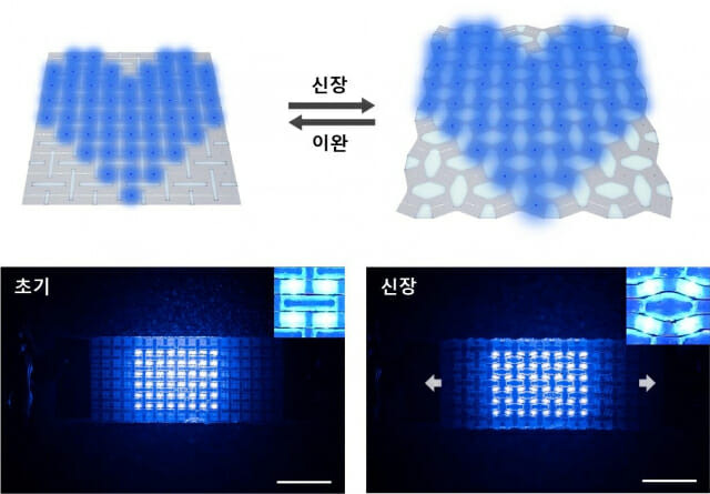 KAIST_240920_스트레처블 디스플레이 소자의 개념도와 이미지