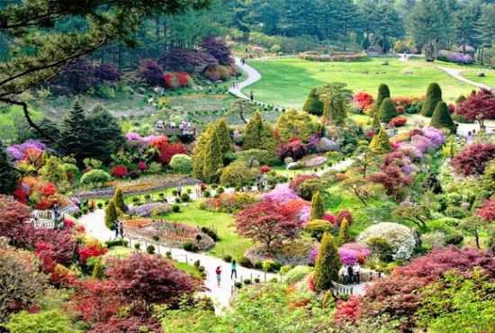 아침고요수목원에선 약 5000여종의 식물을 볼 수 있다. [사진제공=아침고요수목원]