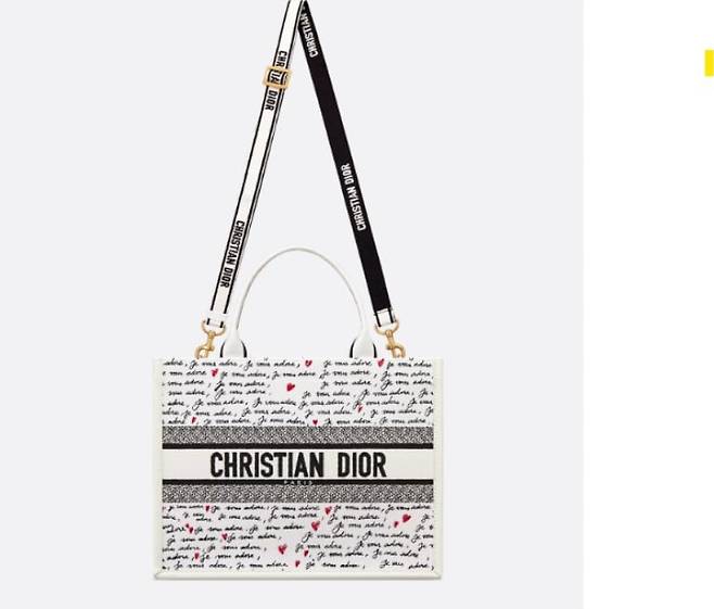 서혜진이 든 디올 '북 토트 백'. 2018년 처음 선보이며 세계적인 빅 히트를 기록하고, 디올의 시그니처 백이 됐다. 디올.