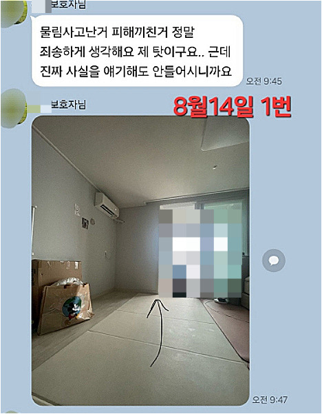 자신의 진돗개가 라떼를 물어서 벽에 던졌다며, 설명한 사진. 화살표 방향으로 던졌다고 했다./사진=라떼 구조자 김유정씨