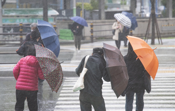 연제구 한 교차로에서 시민들이 우산을 쓴 채 힘겹게 이동하고 있다. 이원준 기자