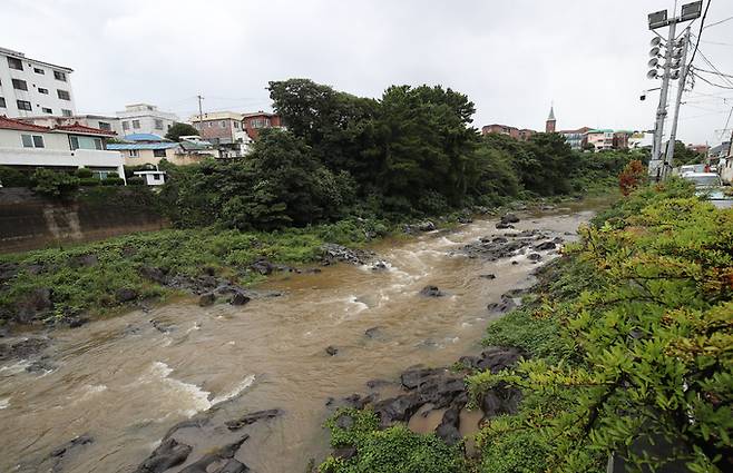 제주도 산지를 중심으로 폭우가 쏟아지고 있는 21일 오전 제주시 용담동 한천 복개구조물 인근 골짜기로 빗물이 흘러가고 있다. 뉴시스