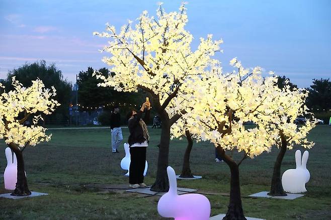 A visitor photographs the ginkgo tree light installations at Jamwon Hangang Park in Gangnam-gu, southern Seoul, in 2023. (Gangnam-gu)