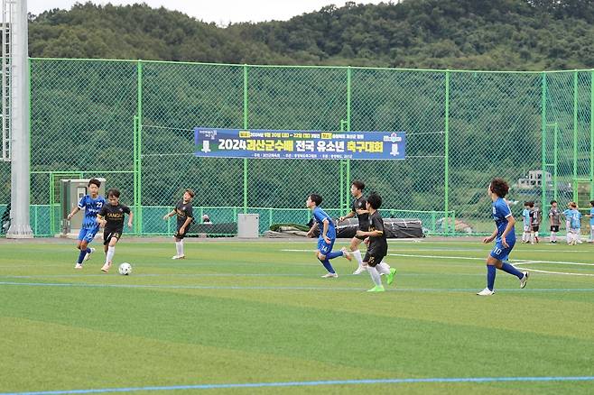 괴산군수배 전국 유소년 축구대회.(괴산군 제공)/뉴스1